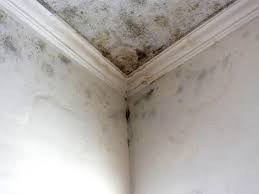 Best Residential Mold Inspection & Testing  in Decatur, AR